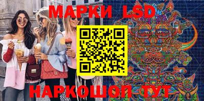 шишки Гатчина