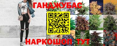 мдпв Гагарин