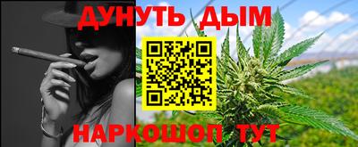 шишки Гатчина
