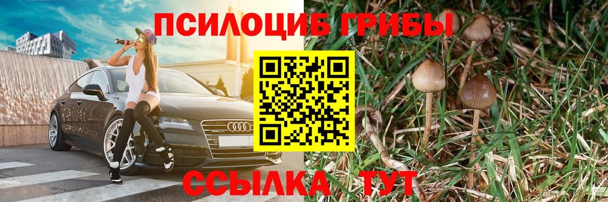 Псилоцибиновые грибы прущие грибы  Псилоцибиновые грибы Psilocybine cubensis  что такое   Вход с VPN  Иваново 